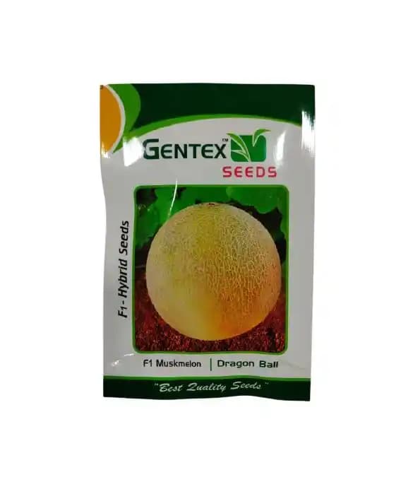 Hybrid Musk Melon Dragon Ball, White-Fleshed Pitahaya, Round Shape, Orange Yellow Fruit. - Image 1