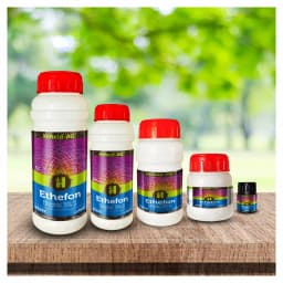 हाईफील्ड एग एथीफॉन 39% एसएल - पौधों की वृद्धि नियामक, प्रणालीगत गुणों के साथ। 3