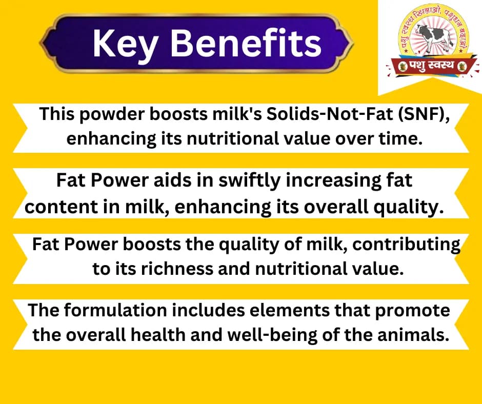 PASHU SVASTH FAT POWER, Animal Health Supplements, Content For Milk Fat & SNF Enhancer For Cattle, Buffalo And Cows - Image 2