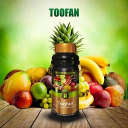 Hifield Toofan Amino Acid, Fulvic Acid, and Multi Vitamins, For Enhancing Nutrient Uptake And Stimulating Plant 2