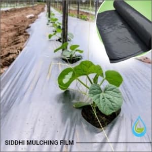 Siddhi Mulch Film, Zig Zag Holes Mulching Sheet, (1 Meter Width x 400 Meters Length) - Black and Silver - Image 3
