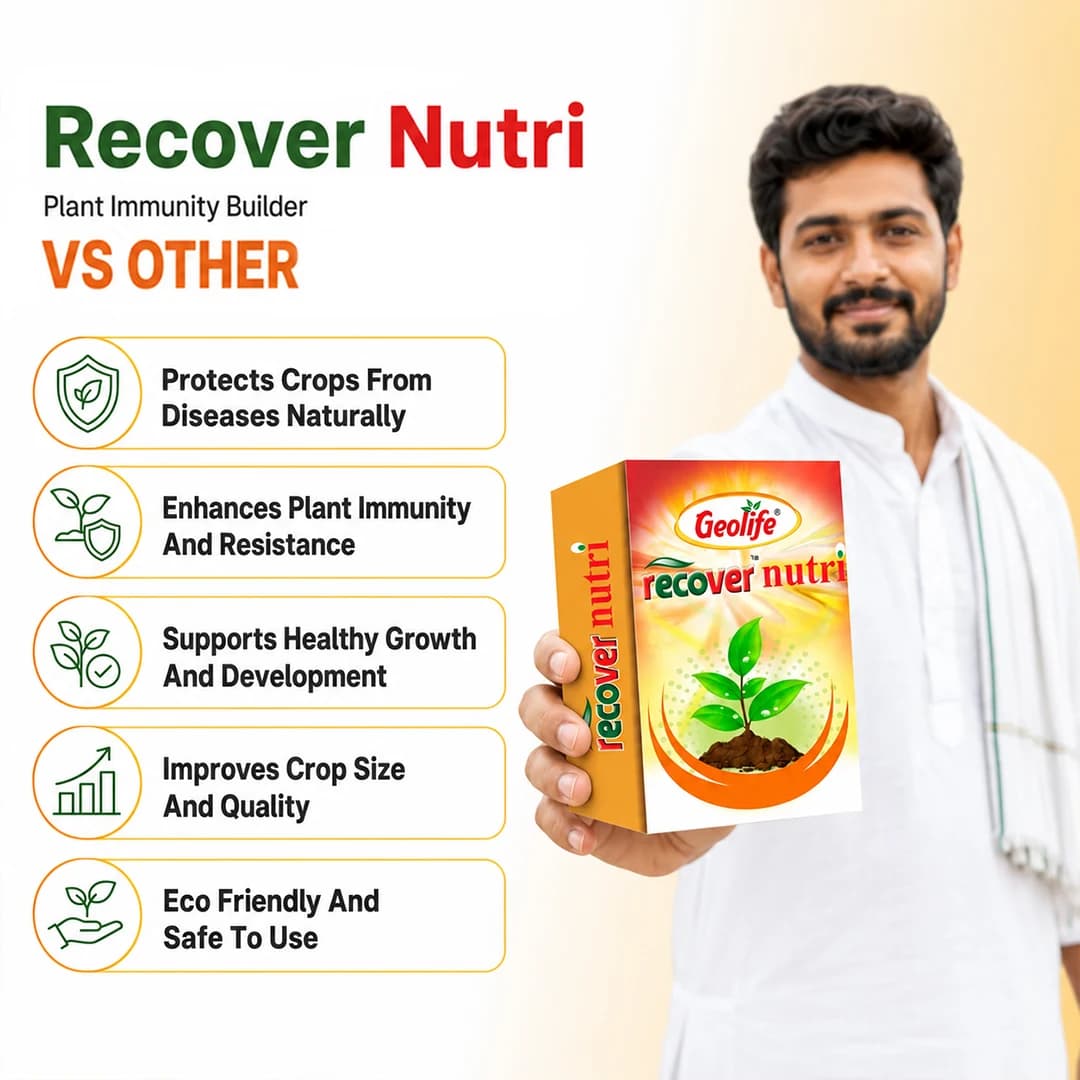 ஜியோலைஃப் ரிகவர் நியூட்ரி தாவர நோய் எதிர்ப்பு சக்தி அதிகரிப்பான், நச்சுத்தன்மையற்ற பூஞ்சை ஆன்டிஆக்சிடன்ட், பூஞ்சை நோய்களுக்கு எதிராக பயனுள்ளது, தாவரங்களில் நோய் எதிர்ப்பு சக்தியை வளர்க்கும் - Image 6