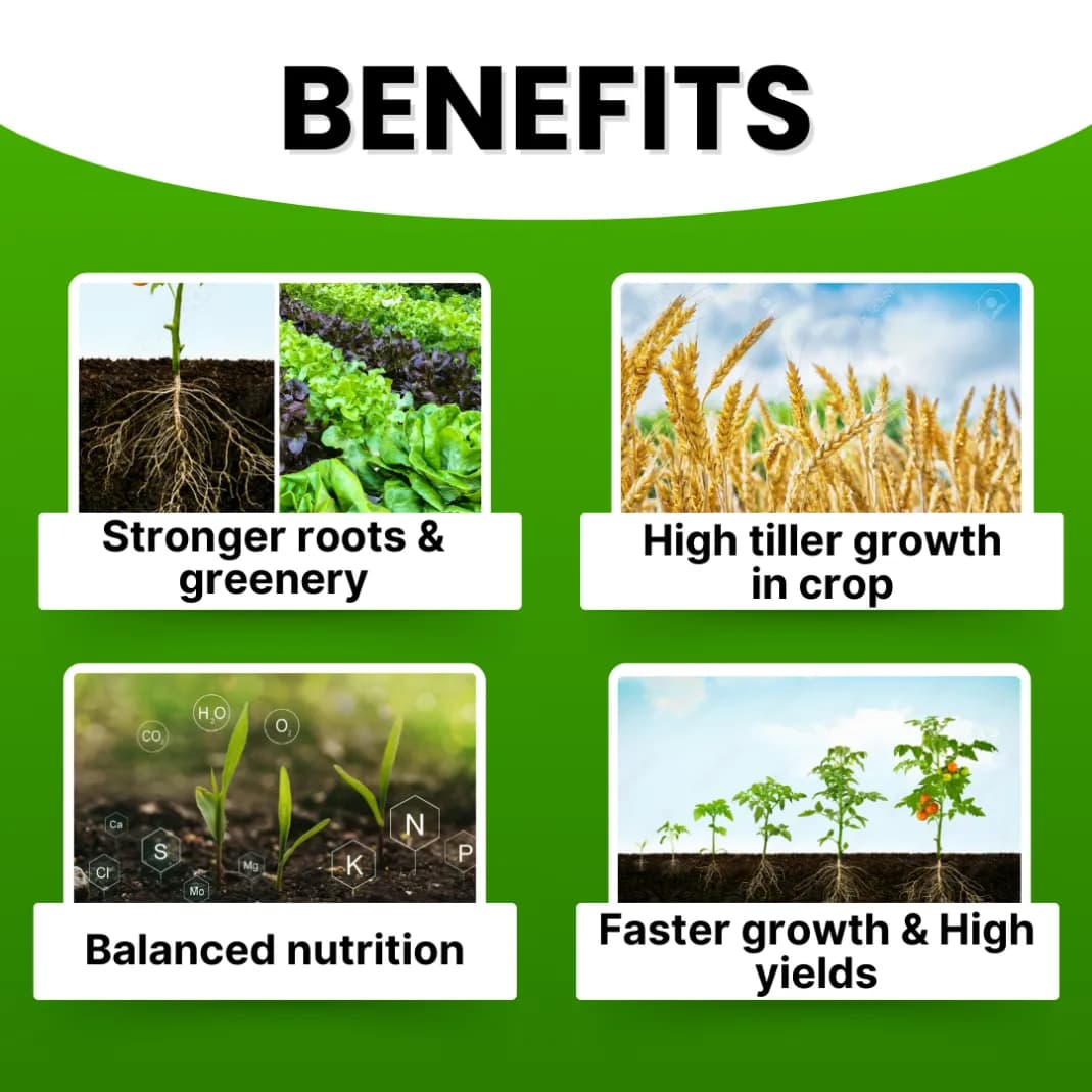 Katyayani NPK 19:19:19 100% Water Soluble Fertilizer for All Plants & Home Garden - Image 3