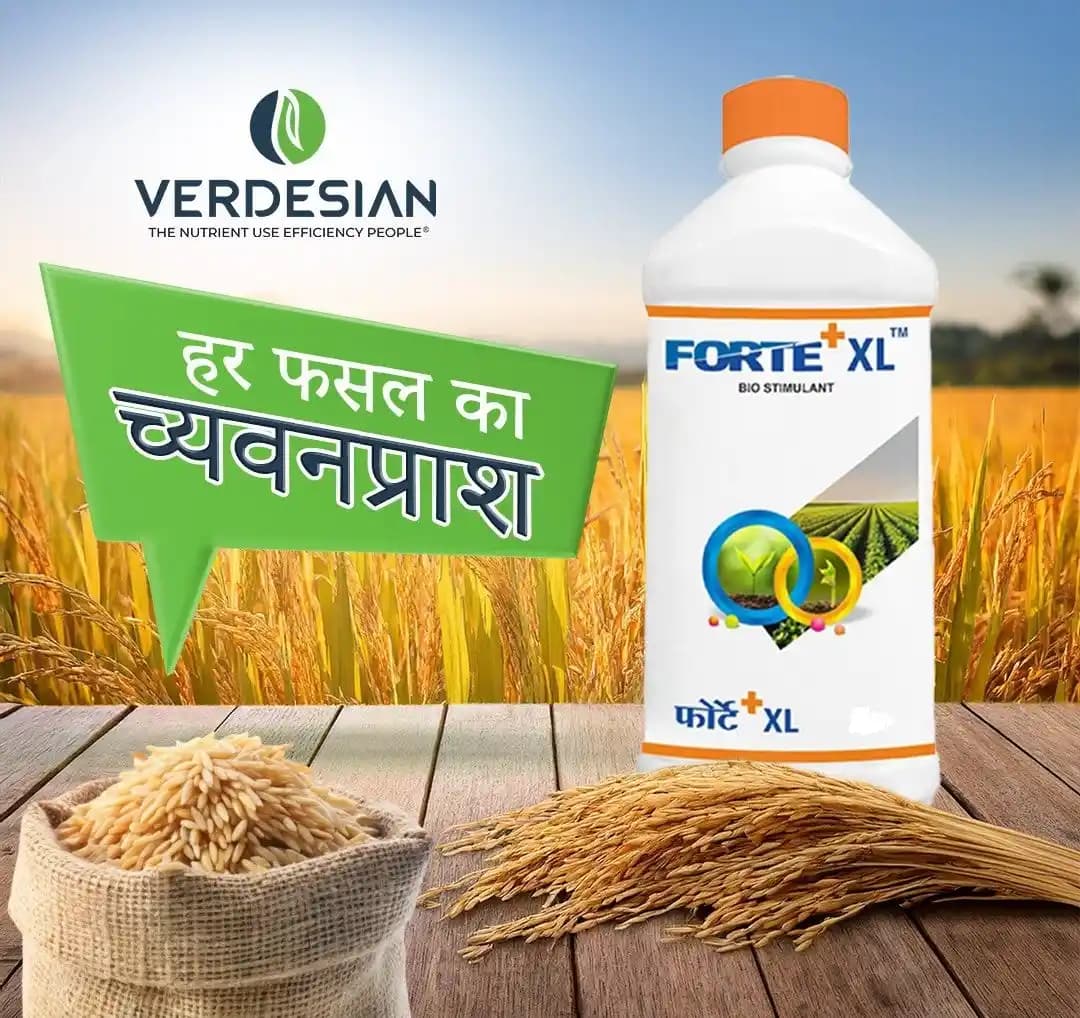 Verdesian Forte+ XL Fertilizer, Soil Conditioning Elements To Promote Healthier Plant Growth, Optimize Nutrient Use, And Enhance Overall Crop Yield - Image 2
