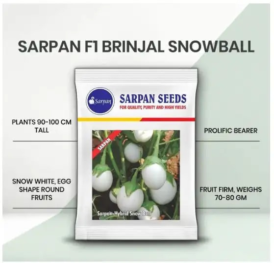 Sarpan Hybrid Snow Ball - (White Brinjal Seeds) Suitable In all seasons