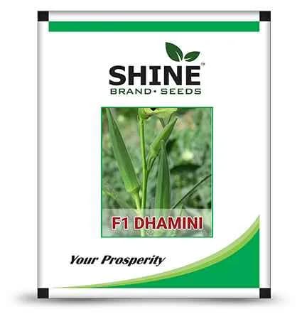 Okra Dhamini F1 Hybrid - Shine Brand Seed, Bhindi Beej, Vegetable Seed, Excellent Quality - Image 1