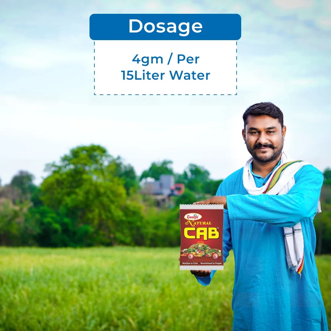 Geolife Natural Cab Anti Cracking and Anti Rotting , Combination Of Calcium And Boron In High Percentage , Advanced Nano Technology - Image 5