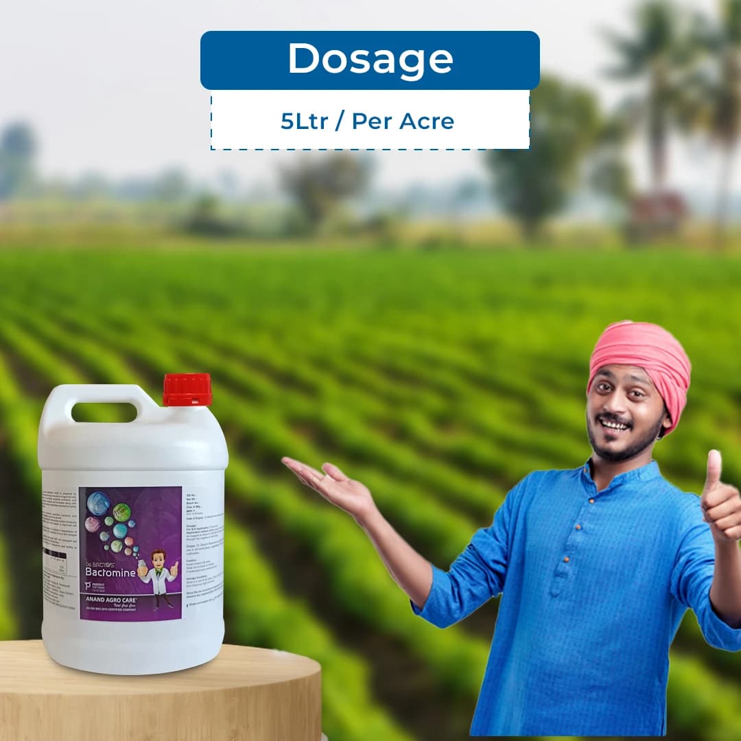 Aanad Agro Dr. Bacto\'s Bactomine, Liquid Biofertilizer, Helps In Restoring Soil Biodiversity and Fertility to Improve Crop Yield - Image 5