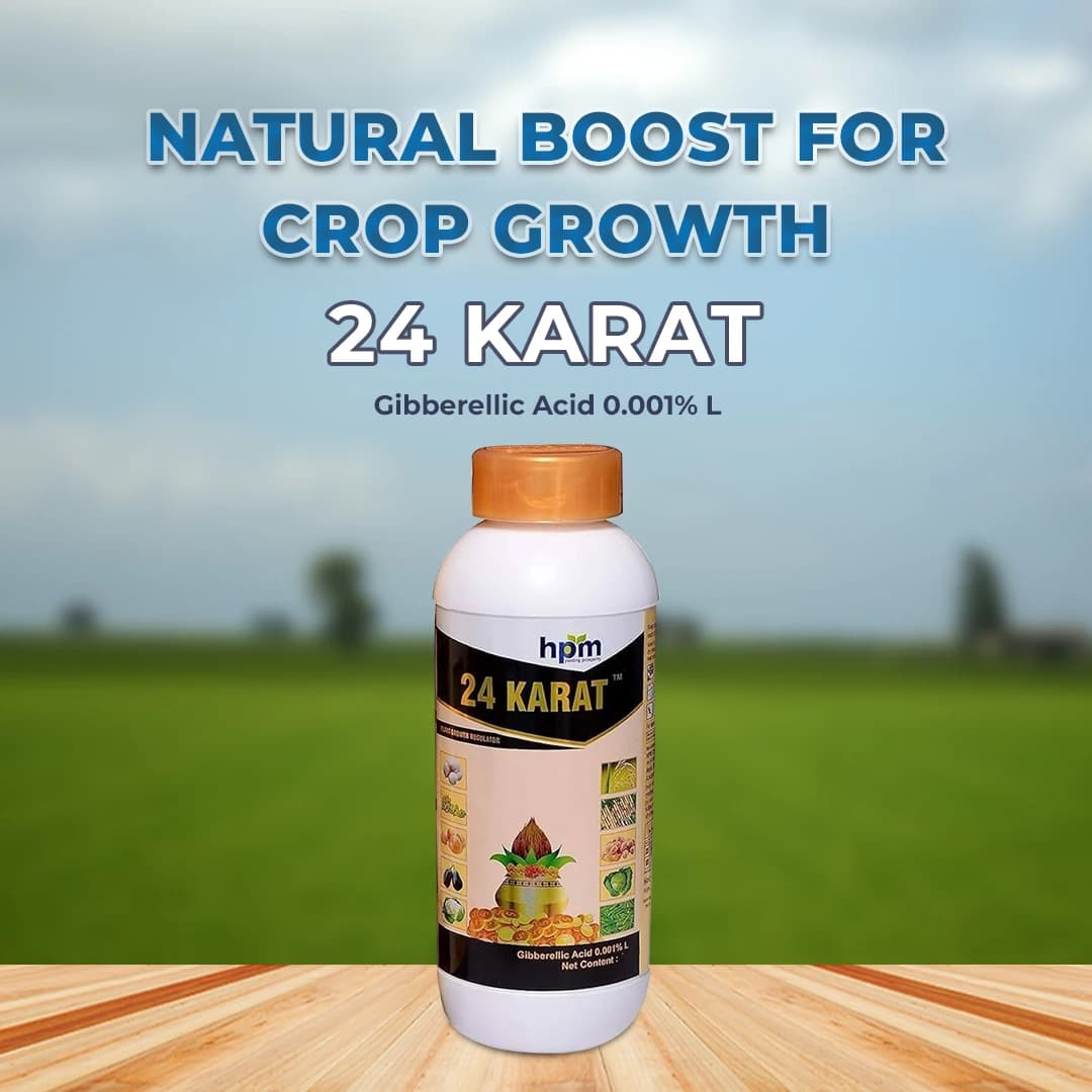 HPM 24 KARAT (Gibberellic Acid 0.001% L), Unique Combination Of Seaweed Extracts And Gibberellic Acid - Image 2