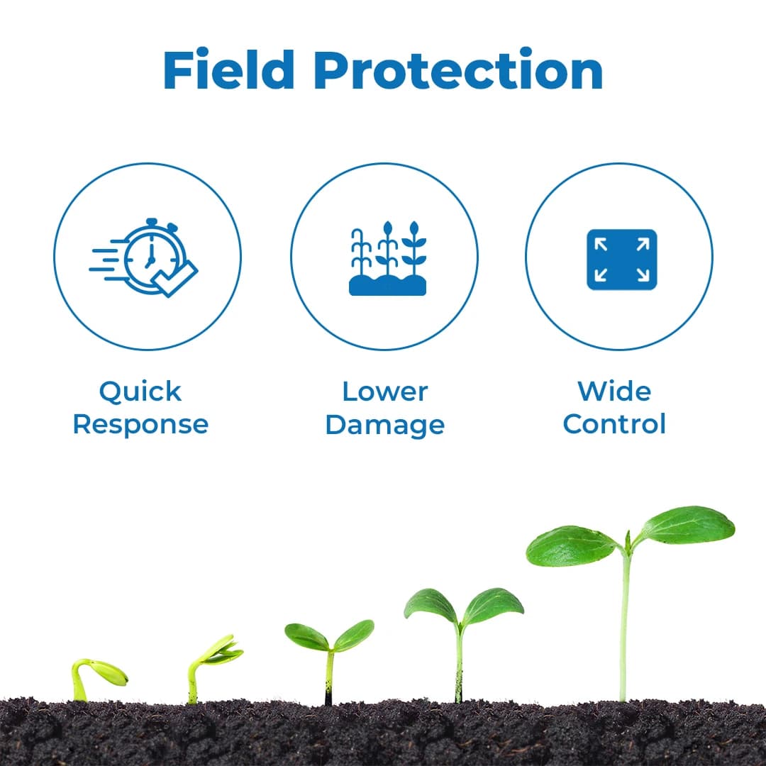 Zeal Killer Insecticide - Image 3