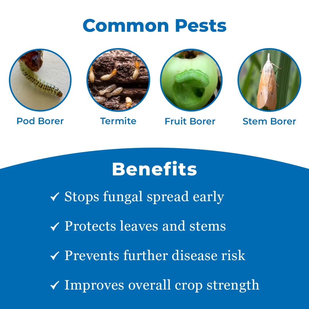 Krishigiri DIZOKIL Azoxystrobin 18.2% + Difenoconazole 11.4% SC Fungicide, Effective Fungal Diseases Control In Crops - Image 3