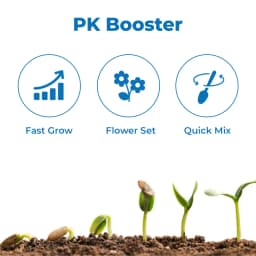 Shriram Sathi NPK 00:52:34 Fertilizer, Suitable For Pre-Bloom As Well As Post-Bloom Applications 3