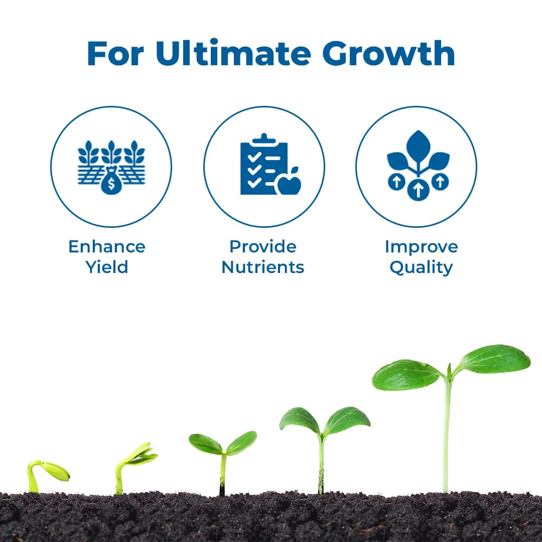Bayer Egnitus - Plant Growth Regulator - Image 3