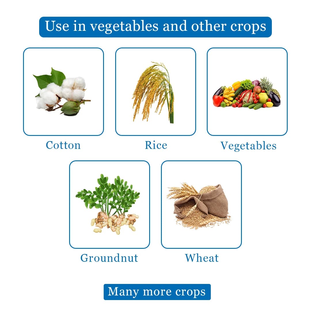 सेलरोड - क्लारोपाइरीफोस 50% ईसी, वायरवर्म, बीटल और माहूँ जैसे कीटों को नियंत्रित करें. - Image 4