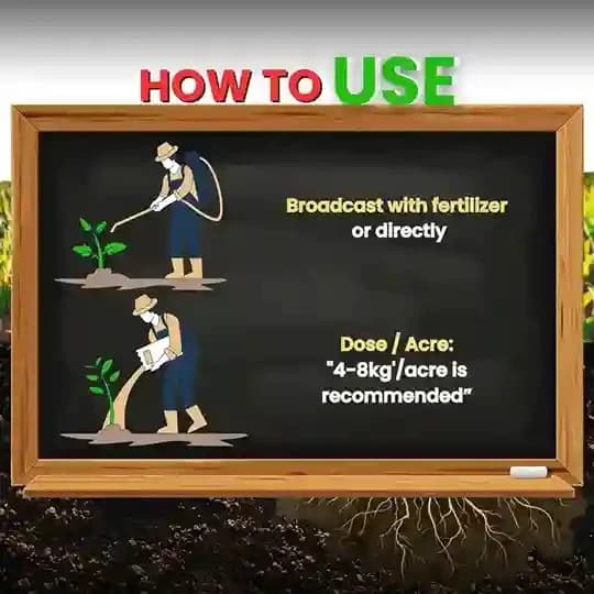 Katyayani Bhumiraja Mycorrhiza Bio Fertilizer, Advanced Mycorrhizal Fungi For Enhanced Soil Health and Plant Growth - Image 5