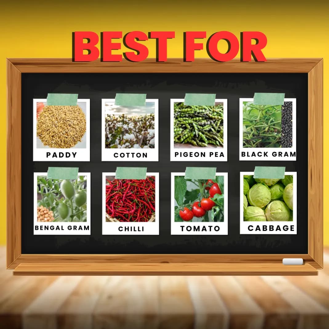 Katyayani Fluben Flubendiamide 39.35% SC Insecticide, Target a Range of Lepidopteran Pests - Image 7