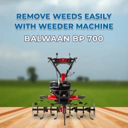 Balwaan BP 700 4 Stroke Power Weeder, Used for Weeding in All Types of Agriculture Crops And Gardens 2