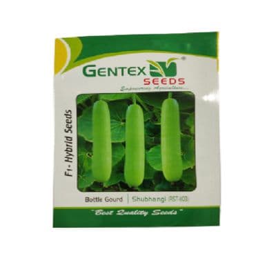 Hybrid Bottle Gourd Shubhangi RST 1103, Laukee Seeds, Light Green. Laukee Ke Beej, Dudhi Na Bee.