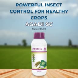 Adama Agadi SC Fipronil 5% SC Insecticides broad-spectrum insecticide, toxic by contact and ingestion. 2