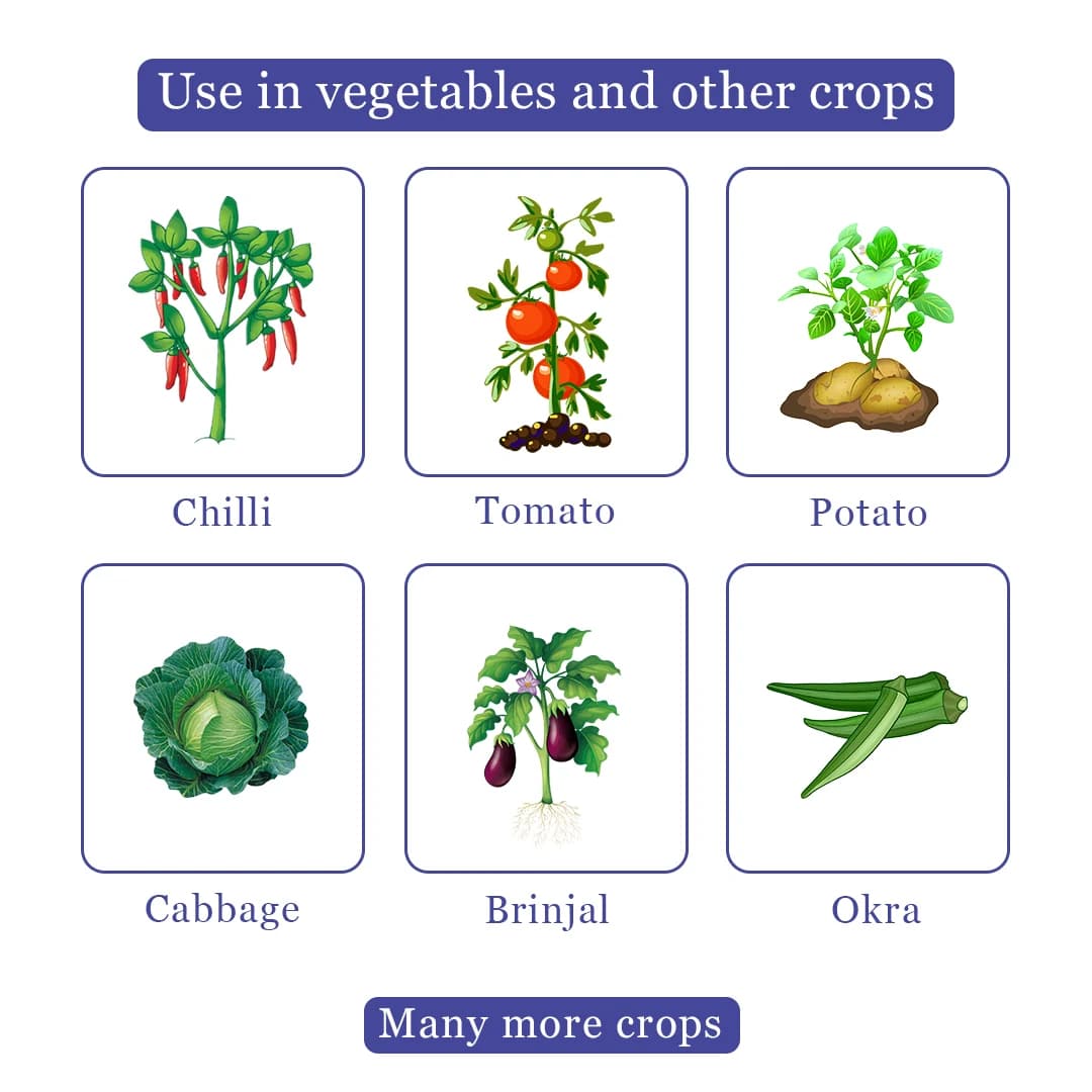 Trio Methoxm 25 Insecticide - Image 4