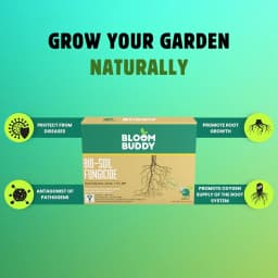 BloomBuddy Trichoderma Viride 1.5% WP Biofungicide, Disease Prevention & Plant Growth Promotion 6