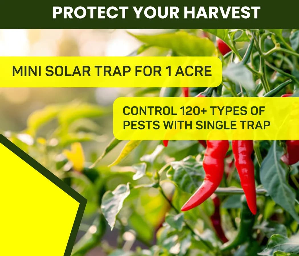 Chipku Mini Solar Insect Trap For Agriculture With UV Light, Solar Light Trap For Agriculture Insects Pests With 6 Months Warranty - Image 4