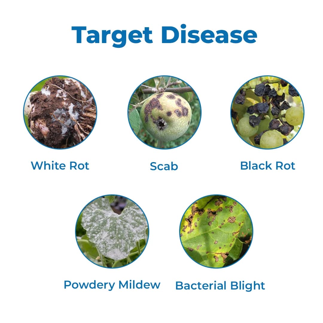 Mahindra Summit Cropsulf Sulphur 80% WDG Fungicide, Protection to Crops From Fungal Diseases. - Image 3