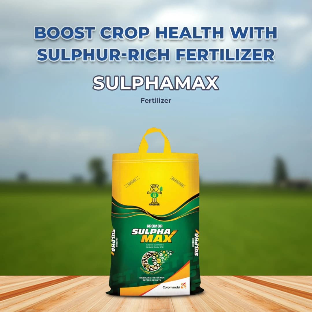 Coromandel Gromor Sulphamax Fertilizer, Faster Release Of Sulphur, Improves Quantity and Quality of Yield - Image 2