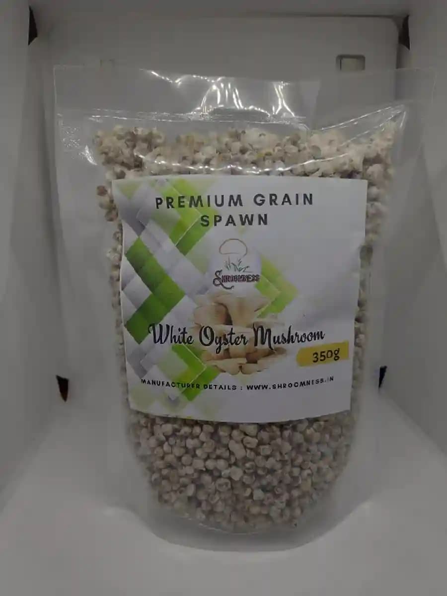 SporeKart Oyster Mushroom Combo ( Pink, yellow, Gray, White ), 350 GM Each. - Image 3