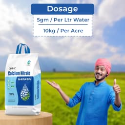 Cubic Calcium Nitrate, 100% Water Soluble, 15.5% Nitrogen (N) and 18.5% Calcium (Ca) 5