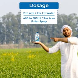 EBS Kavach Fipronil 5% SC Insecticide, Use On Paddy, Cotton, Chilli, Cabbage, And Sugarcane Crops For Sucking And Chewing Pests 5