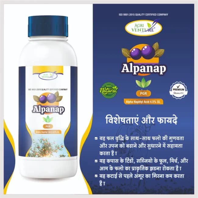 Agriventure Alpanap Alpha Naphtyl Acid 4.5% SL, Induces Flowering & Prevents Fall Of Unripe Fruits And Shedding Of Buds - Image 3