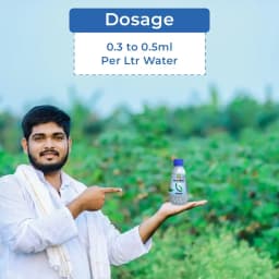 Multiplex Raise - Chlorantraniliprole 18.5% SC, Systemic and Contact Insecticide 5