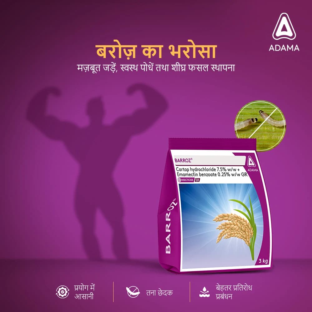 ADAMA Barroz Cartap Hydrochloride 7.5% + Emamectin Benzoate 0.25% GR Insecticide - Image 2