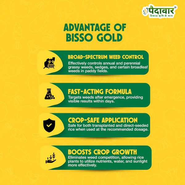 Paidavaar Bisso Gold Bispyribac Sodium 10% SC Herbicide For Rice - Image 3