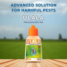 UPL Ulala (Flonicamid 50% WG) Novel Solution for Sucking pest management with unique mode of action 2