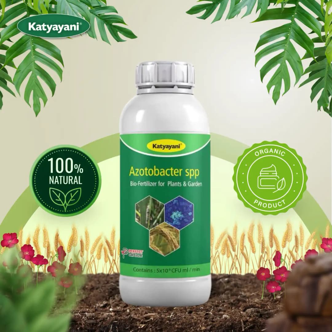Katyayani Azotobacter Nitrogen Fixing Bio-Fertilizer, Enhancing Soil Fertility and Sustainable Crop Growth - Image 4