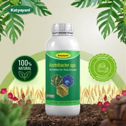 Katyayani Azotobacter Nitrogen Fixing Bio-Fertilizer, Enhancing Soil Fertility and Sustainable Crop Growth 4