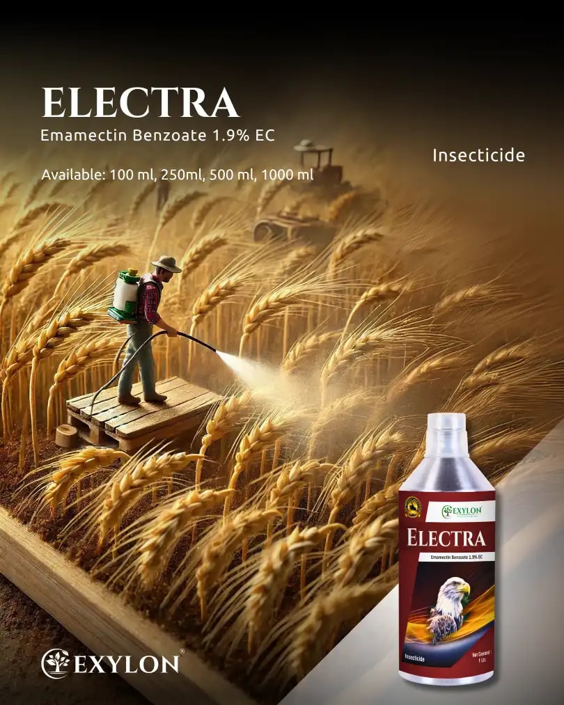 Exylon Electra Emamectin Benzoate 1.9% EC Insecticide, Effective Pest Control In Vegetables And Fruits Crops
