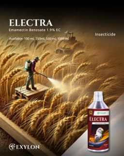 Exylon Electra Emamectin Benzoate 1.9% EC Insecticide, Effective Pest Control In Vegetables And Fruits Crops 2