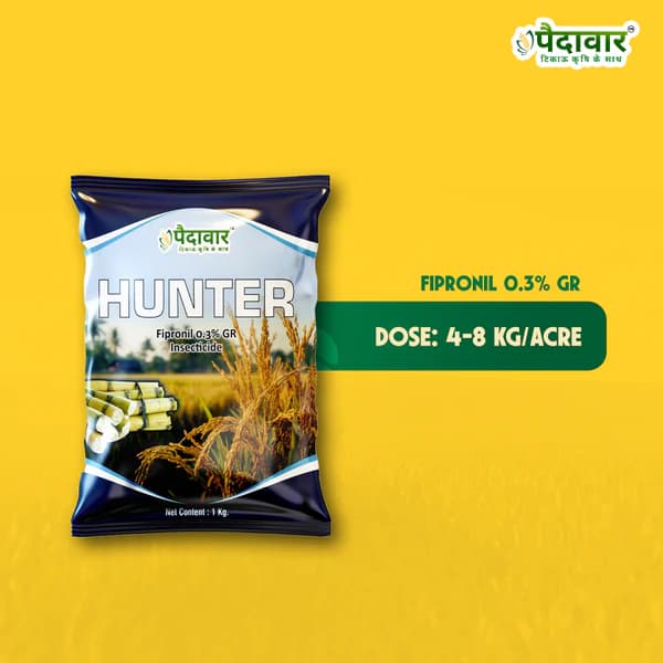 Paidavaar Hunter Fipronil 0.3% GR Granular Insecticide for Soil Pest Control - Image 4