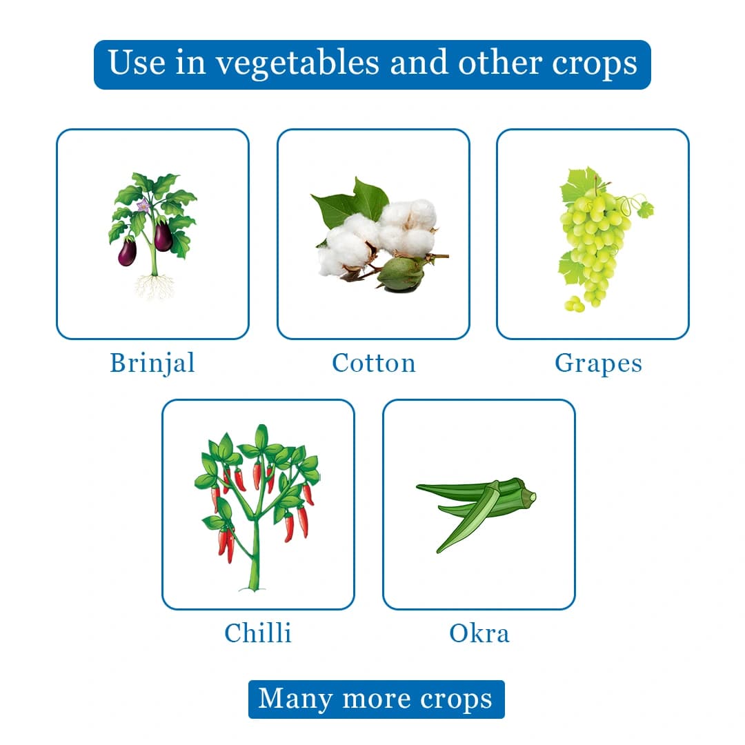 Exylon Falcon Insecticide - Fipronil 80% WG - Image 4