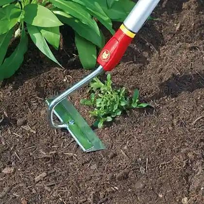 वोल्फ गार्टन फ्लोरल हो (HU M15) 15 सेमी - हैंडल रहित ड्रॉ हो निराई उपकरण, उत्कृष्ट निराई-गुड़ाई का औज़ार - Image 4