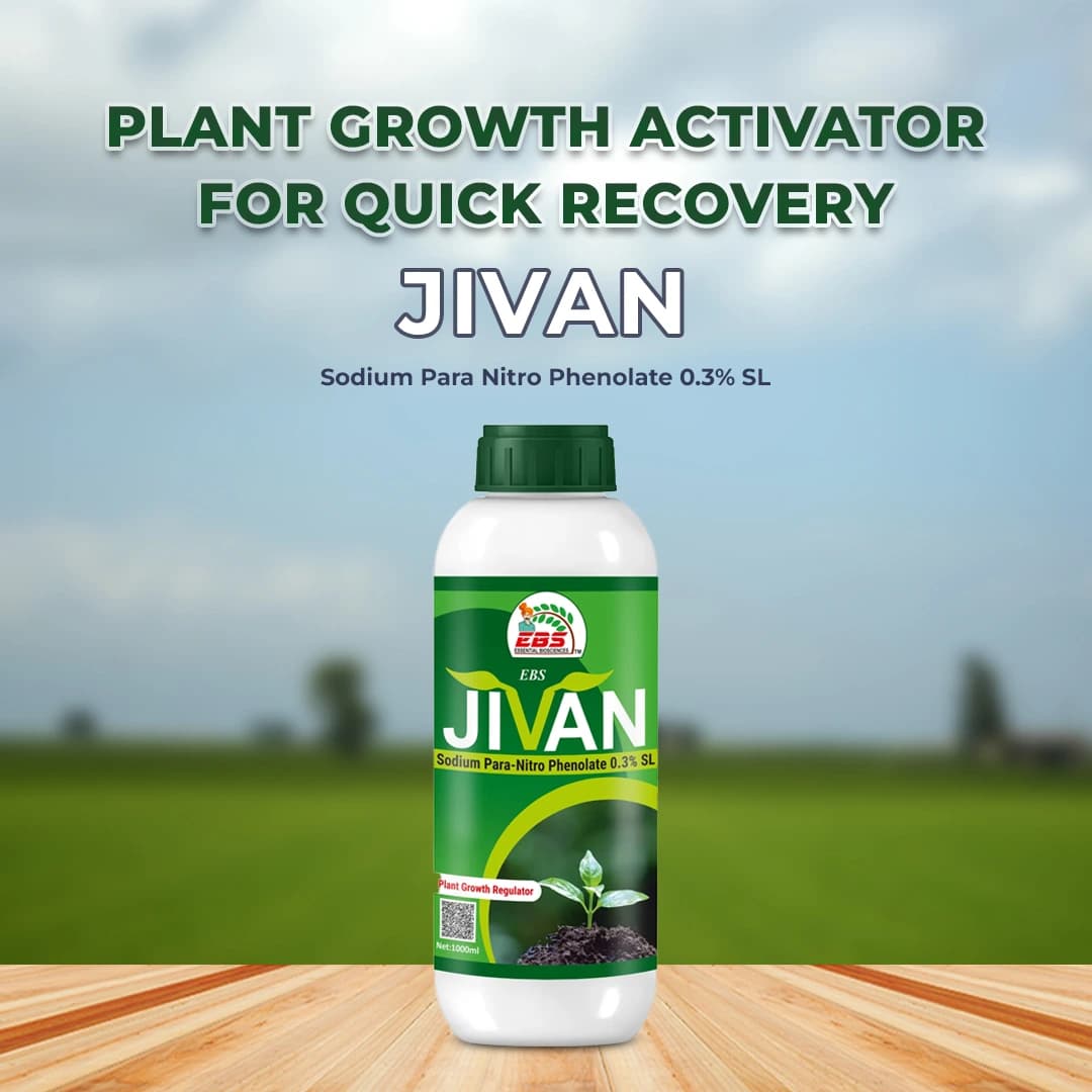 EBS Jivan Sodium Para Nitro Phenolate 0.3% SL, Widely Used Plant Growth Promoter, Use for Food Crops, Cash Crops, Vegetables, Fruits and Flowers - Image 2