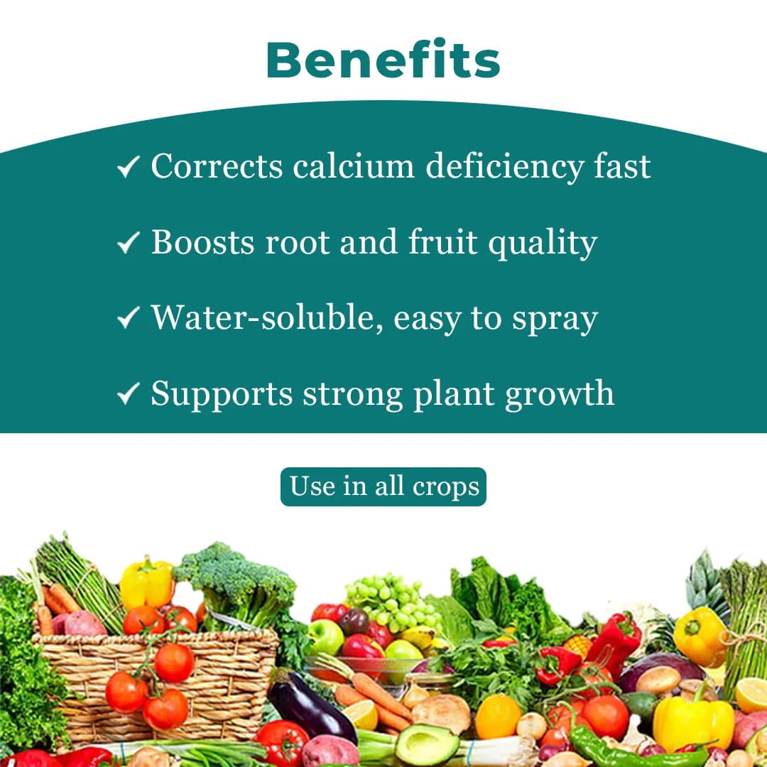 Shriram Energy (Calcium Nitrate) Fertilizer, Increases Crop Quality and Yield - Image 4