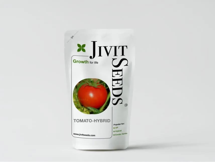 Jivit F1 Hybrid JS Ravi Tomato Seeds, Flattened Round Medium Sized Shape - Image 4