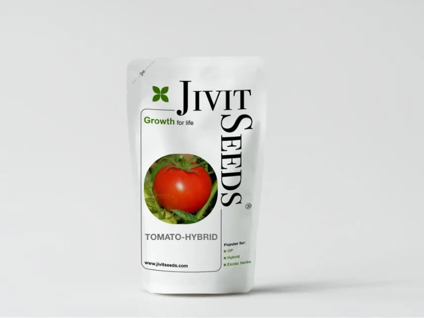 Jivit JS Ravi Tomato Seeds - (Tamatar Seeds) Flattened Round Medium Sized Shape