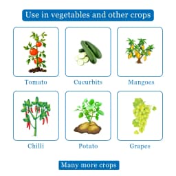 Adama Mirador Azoxystrobin 23% SC, Unique and Wide Spectrum Disease Control Like Grapes, Potatoes, Chilies, Tomatoes etc. 4
