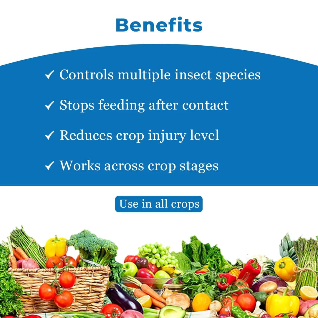 Zeal Killer Insecticide - Image 4