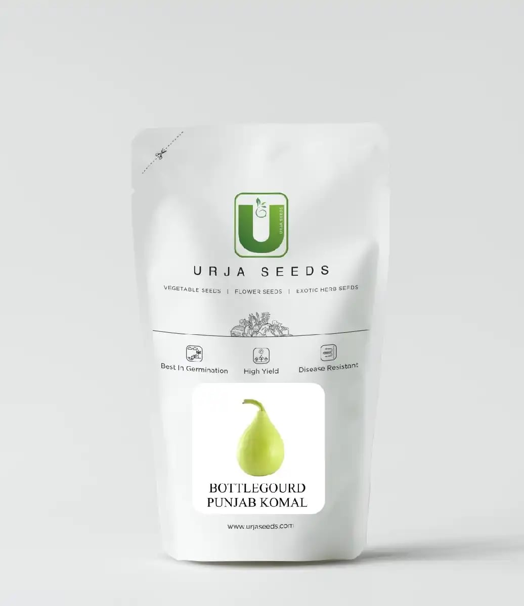 Urja Punjab Komal Supreme Bottle Gourd Seeds, Light Green Fruit, Early Maturing